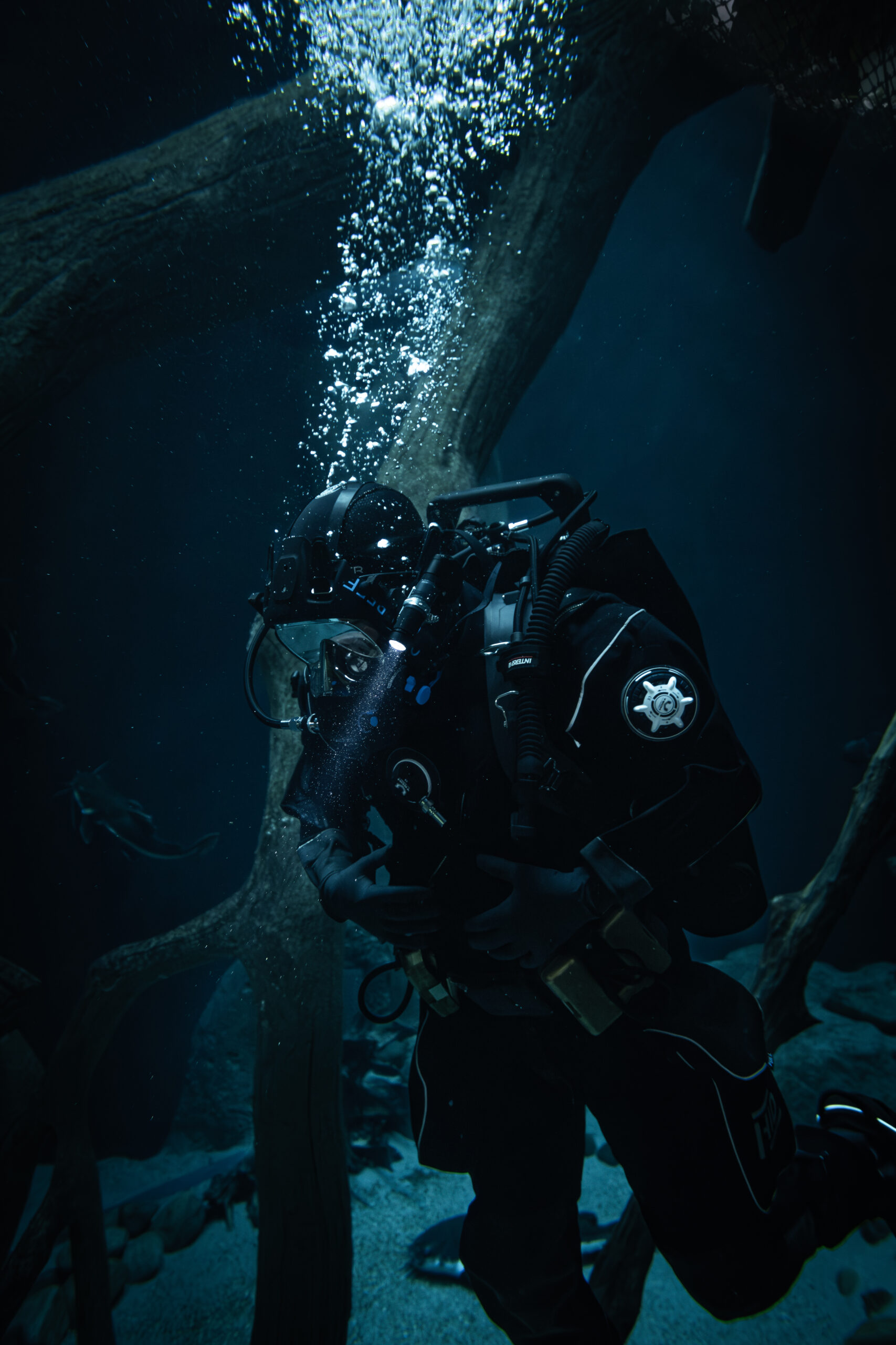 Aquarium maintenance 4