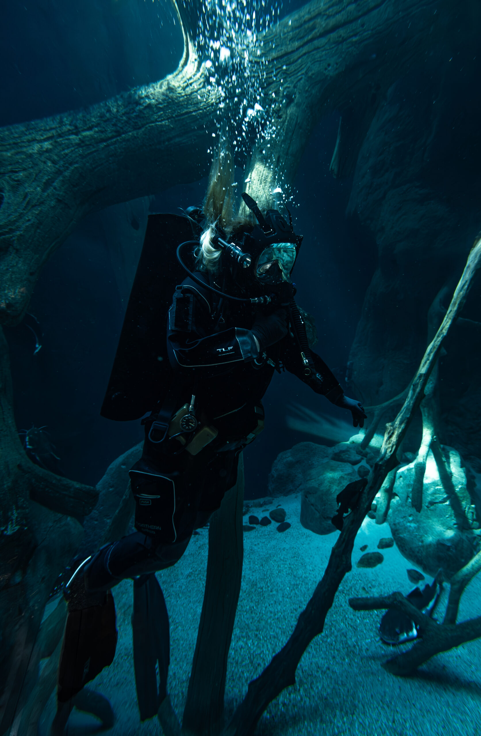 Aquarium maintenance 1